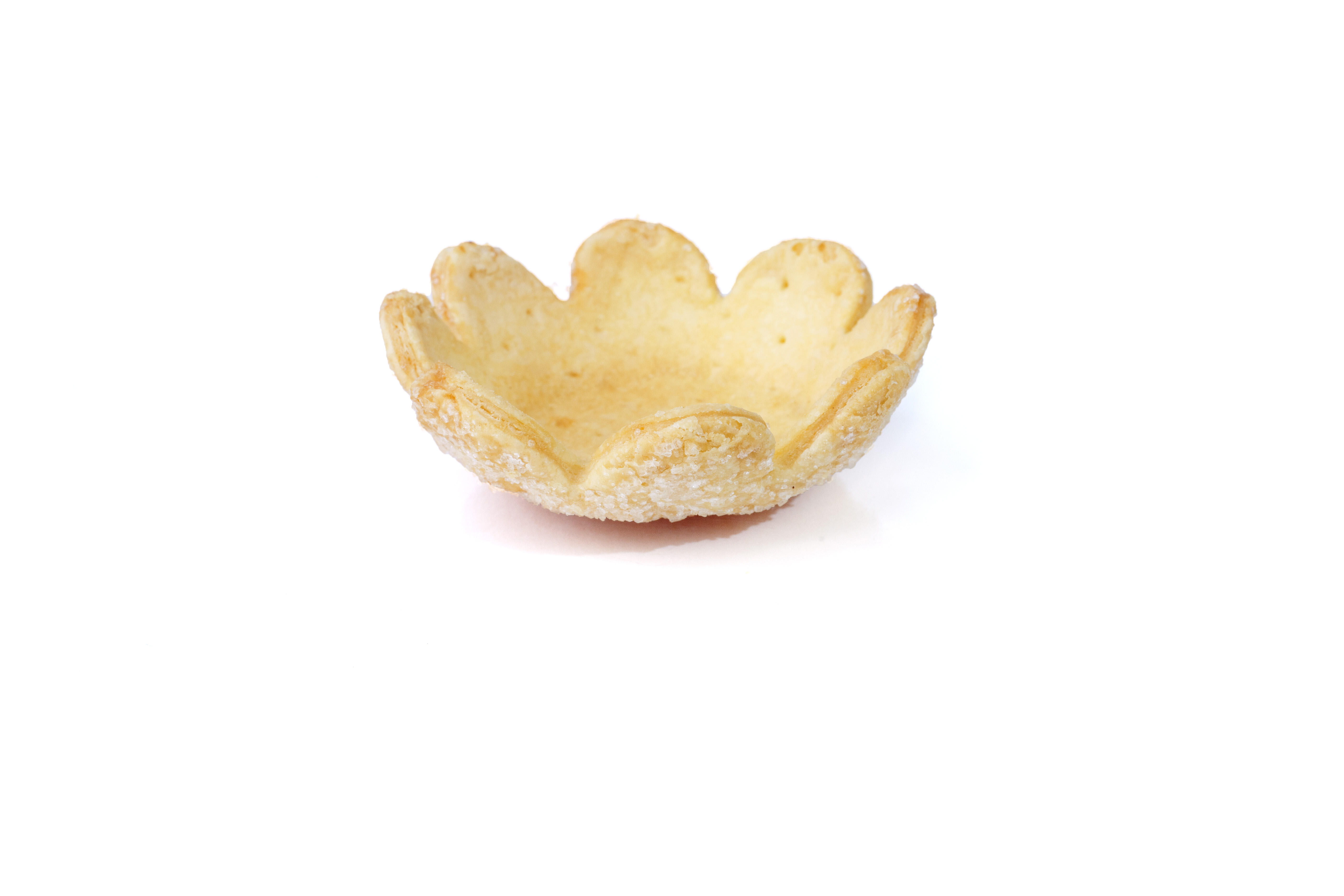 Flower Shell